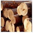 木材加工用チップイメージ